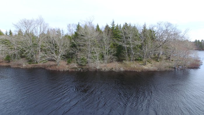 WentworthHalbinsel (87)